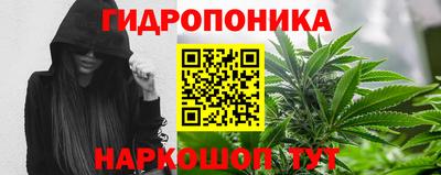 гидропоника Донской