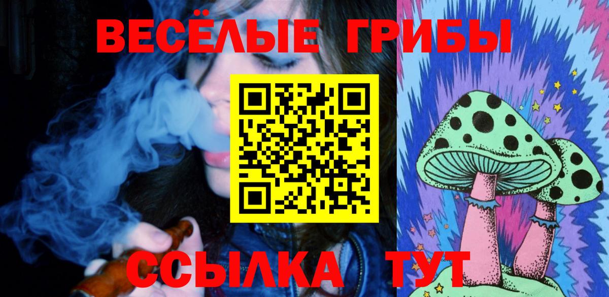 Галлюциногенные грибы Psilocybe  Галлюциногенные грибы мухоморы  Вход с VPN  Кунгур 